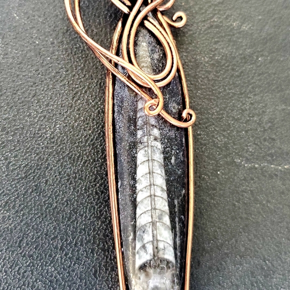 New Oversized Orthoceras Fossil Wire Wrapped Pendant. - Picture 13 of 15